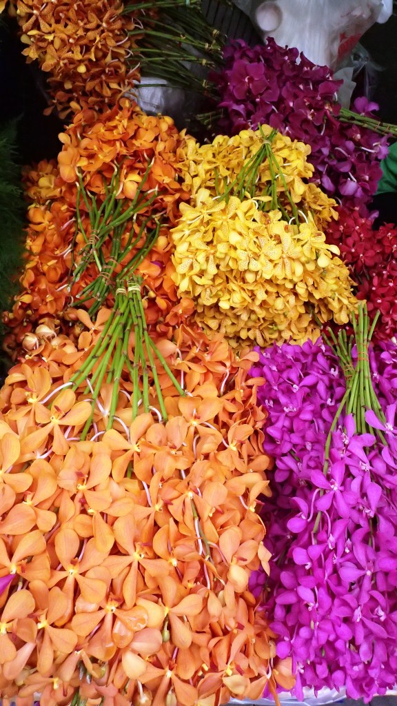 Orchids being sold for 10 baht (20p)