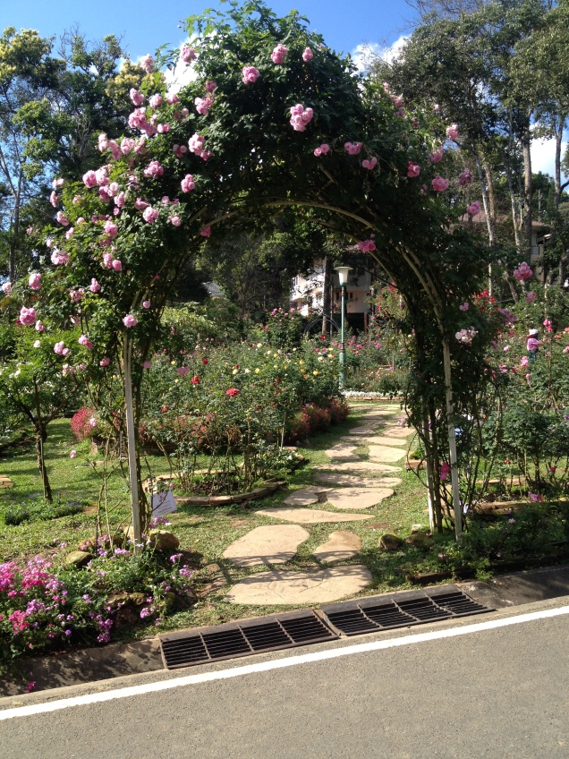 Rose garden, Bhuping Palace